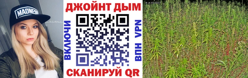 Канабис гибрид kraken tor Вяземский купить наркотик